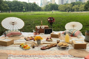 Private Central Park Fahrradtour und luxuriöses Picknick