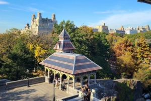 Visite privée de Central Park à vélo et pique-nique luxueux