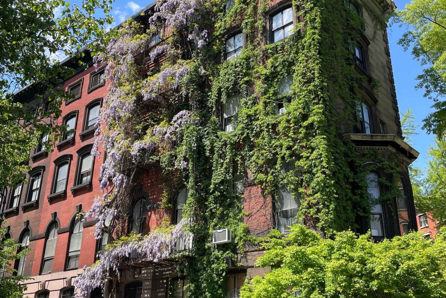 Visite culinaire privée de l'East Village avec un habitant