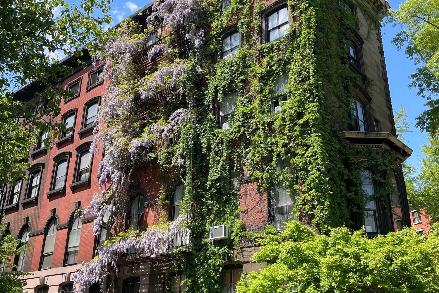 Private East Village Food Tour With a Local