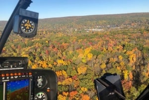 ハドソン渓谷のプライベート紅葉ヘリコプター ツアー