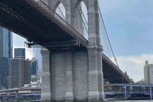 Visite guidée privée à pied du pont de Brooklyn et de DUMBO