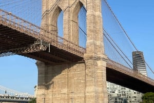 Privat omvisning til fots på Brooklyn Bridge og DUMBO