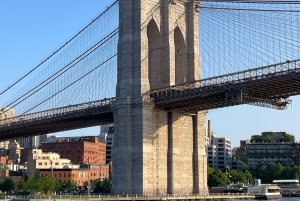 Privat guidet tur til fots til Brooklyn Bridge og DUMBO