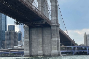 Privat guidet tur til fots til Brooklyn Bridge og DUMBO