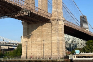 Privat guidet tur til fots til Brooklyn Bridge og DUMBO