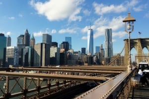 Private New York City Tour by Night With Local Guide