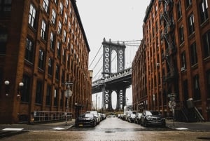 Privat New York-tur med guide Opptil 12 personer Gruppestørrelse