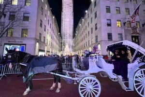 プライベートなニューヨークのイルミネーションまたはクリスマスのイルミネーションの馬車ツアー