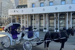 Tour privato delle luci di NYC o delle luci di Natale in carrozza a cavallo