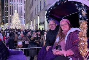 Tour privato delle luci di NYC o delle luci di Natale in carrozza a cavallo