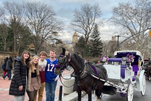 Tour privato delle luci di NYC o delle luci di Natale in carrozza a cavallo