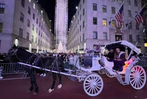 Prywatna wycieczka NYC Lights lub Christmas lights Horse Carriage Tour