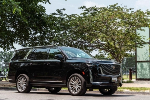 Tour particular em Washington DC: Tour particular com SUV de luxo 3h