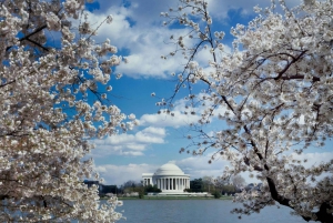 PRIVATE TOUR Washington DC: Private Tour mit Luxus-Geländewagen 3h