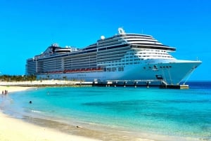 Trasferimento privato: dal porto crocieristico di Cape Liberty a Manhattan