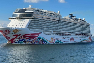 Trasferimento privato: dal porto crocieristico di Cape Liberty a Manhattan