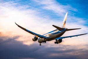 JFK/LGA/EWR to Manhattan Private Transfer - Up to 14 Pax