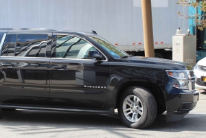 Privat transport: Manhattan til Brooklyn Cruise Port