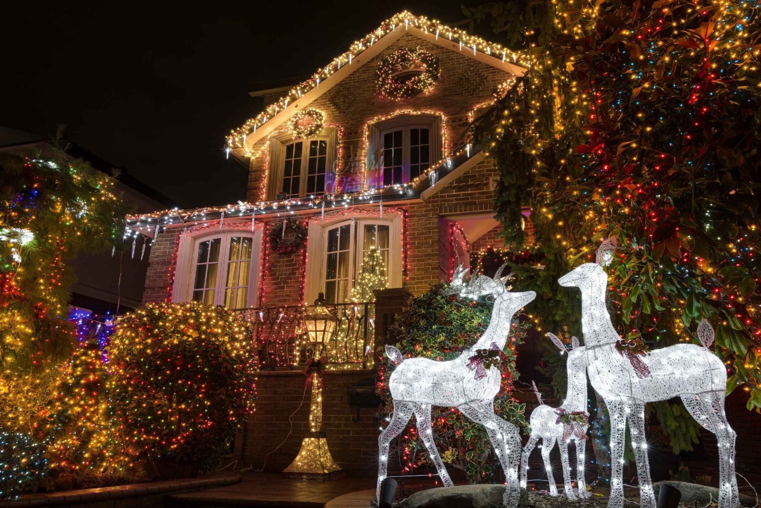 Real Contrasts of New York and Christmas Lights Tour