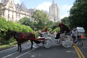 Romantyczna/propozycja Central Park Carriage Tour dla maksymalnie 4 osób dorosłych