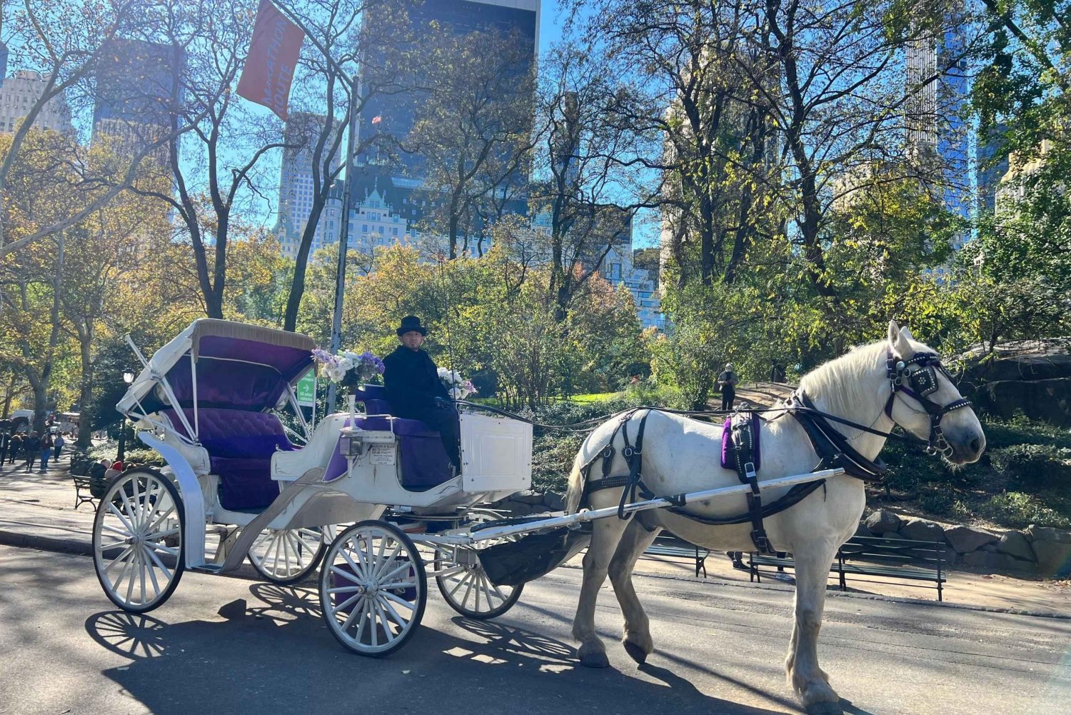 Поездка в королевской карете в Центральном парке Нью-Йорка