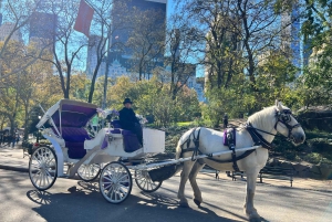 Koninklijke koetsrit in Central Park NYC