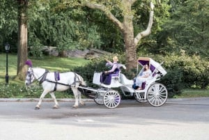 Königliche Kutschenfahrt im Central Park NYC