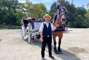 Giro in carrozza reale a Central Park NYC