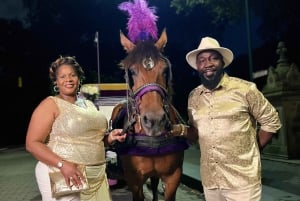 Royal Carriage Ride i Central Park NYC