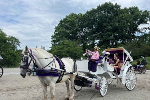 Royal Carriage Ride i Central Park NYC