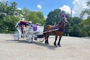 Passeio de carruagem real no Central Park, Nova York