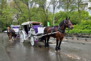 Koninklijke koetsrit in Central Park NYC