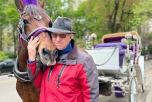 Поездка в королевской карете в Центральном парке Нью-Йорка