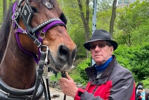 Royal Carriage Ride i Central Park NYC