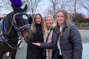 Royal Carriage Ride in Central Park NYC