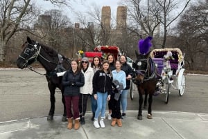 Passeio de carruagem real no Central Park, Nova York