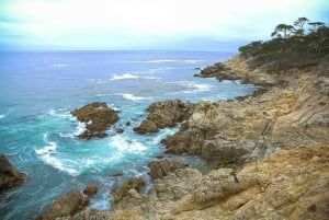 Viagem de 1 dia a São Francisco com motorista diário