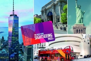 Sightseeing Select Pass NY 1