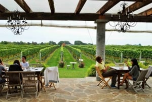 Southold: Long Island Winery Tour