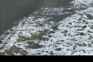 自由の女神像とエリス島ツアー