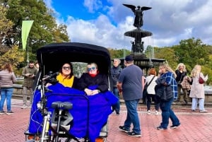 The Best Central Park Pedicab Guided Tours