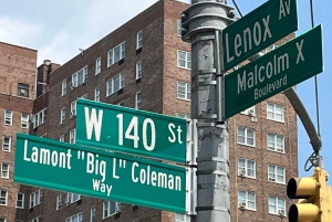 De geboorteplaats van hiphop bustour