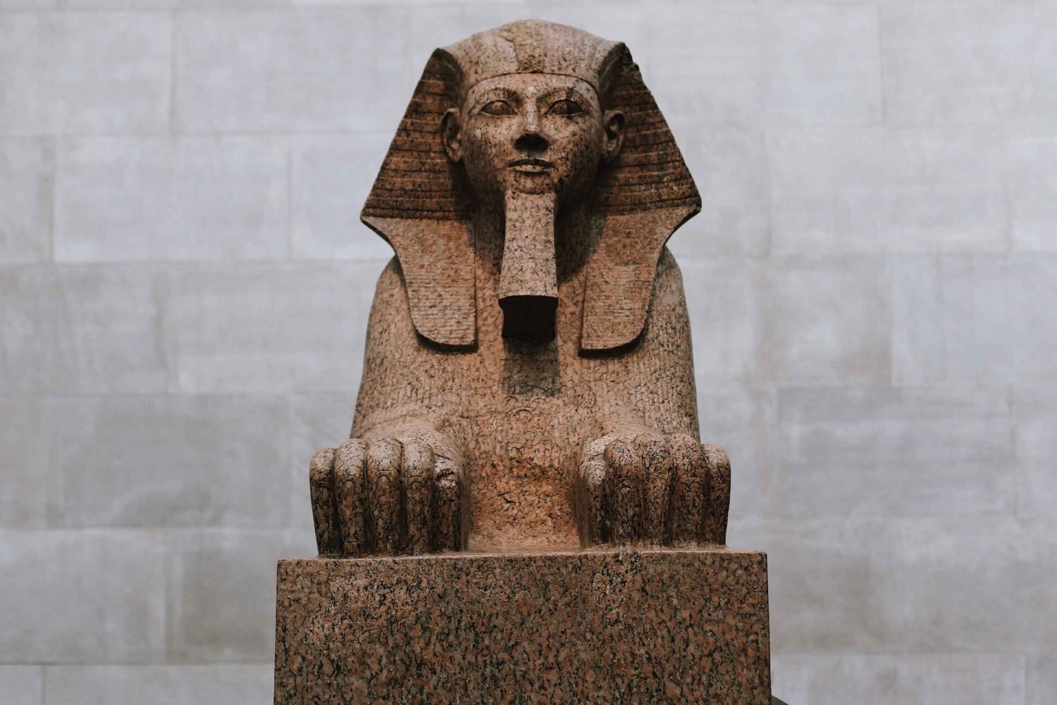 Tour guidato esclusivo del Metropolitan Museum of Art 'The Met'