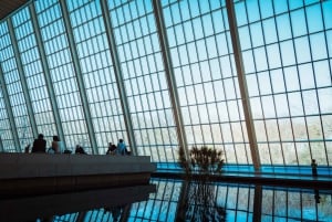 メット美術館ガイドツアー（スキップ・ザ・ライン入場付き