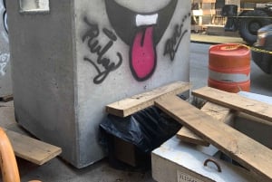 The People's History of the East Village and Alphabet City