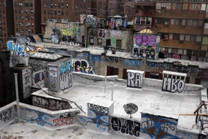 Los Ramones y la Escena Punk Rock de NYC Visita Privada a Pie