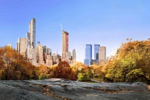 NYC: Tour guidato a piedi di Central Park Inglese-Spagnolo