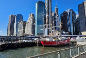 Visita o Memorial do 11 de setembro, Wall Street e o porto marítimo