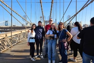 Omvisning på Brooklyn Bridge, DUMBO og Coney Island